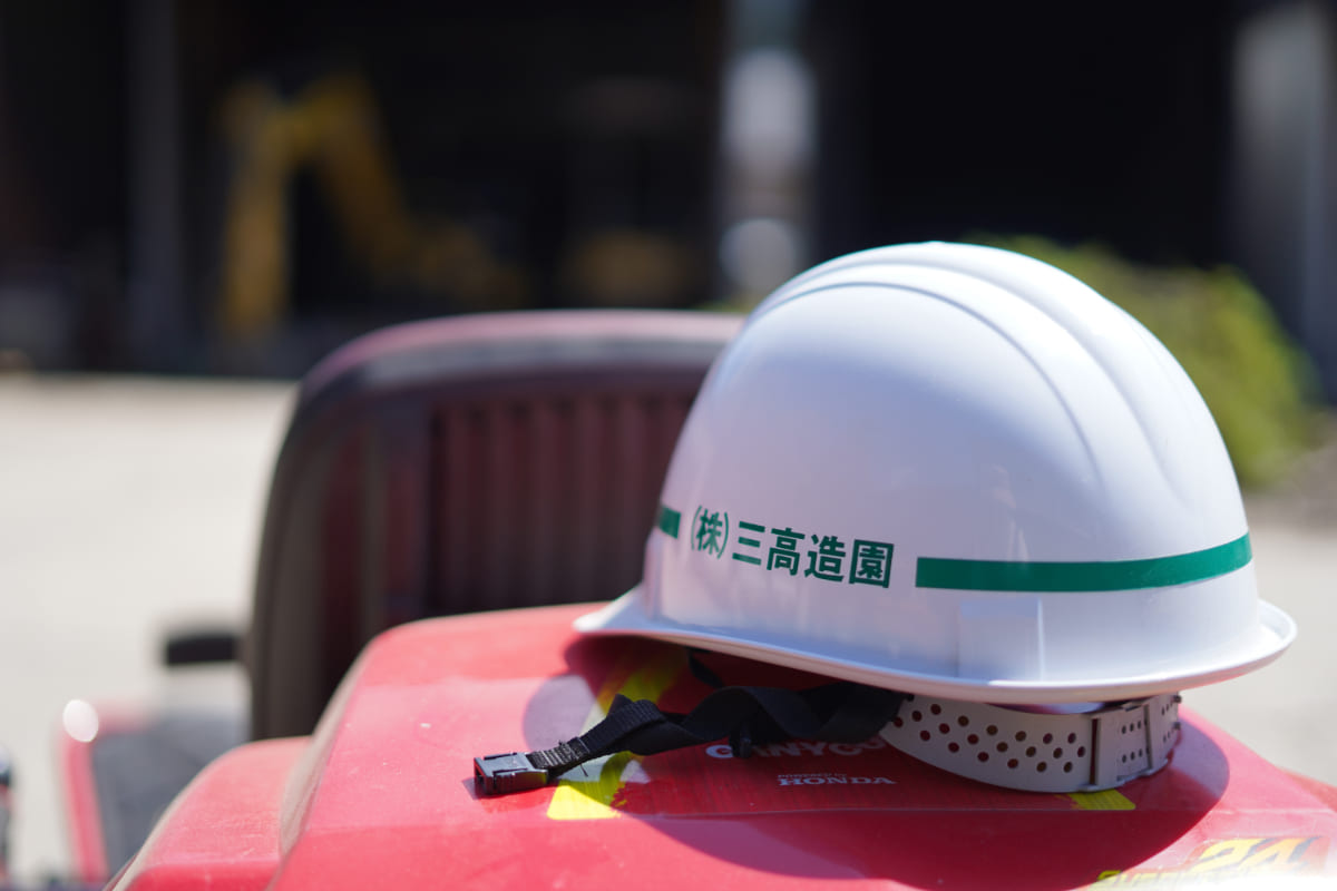 松の手入れを行う職人