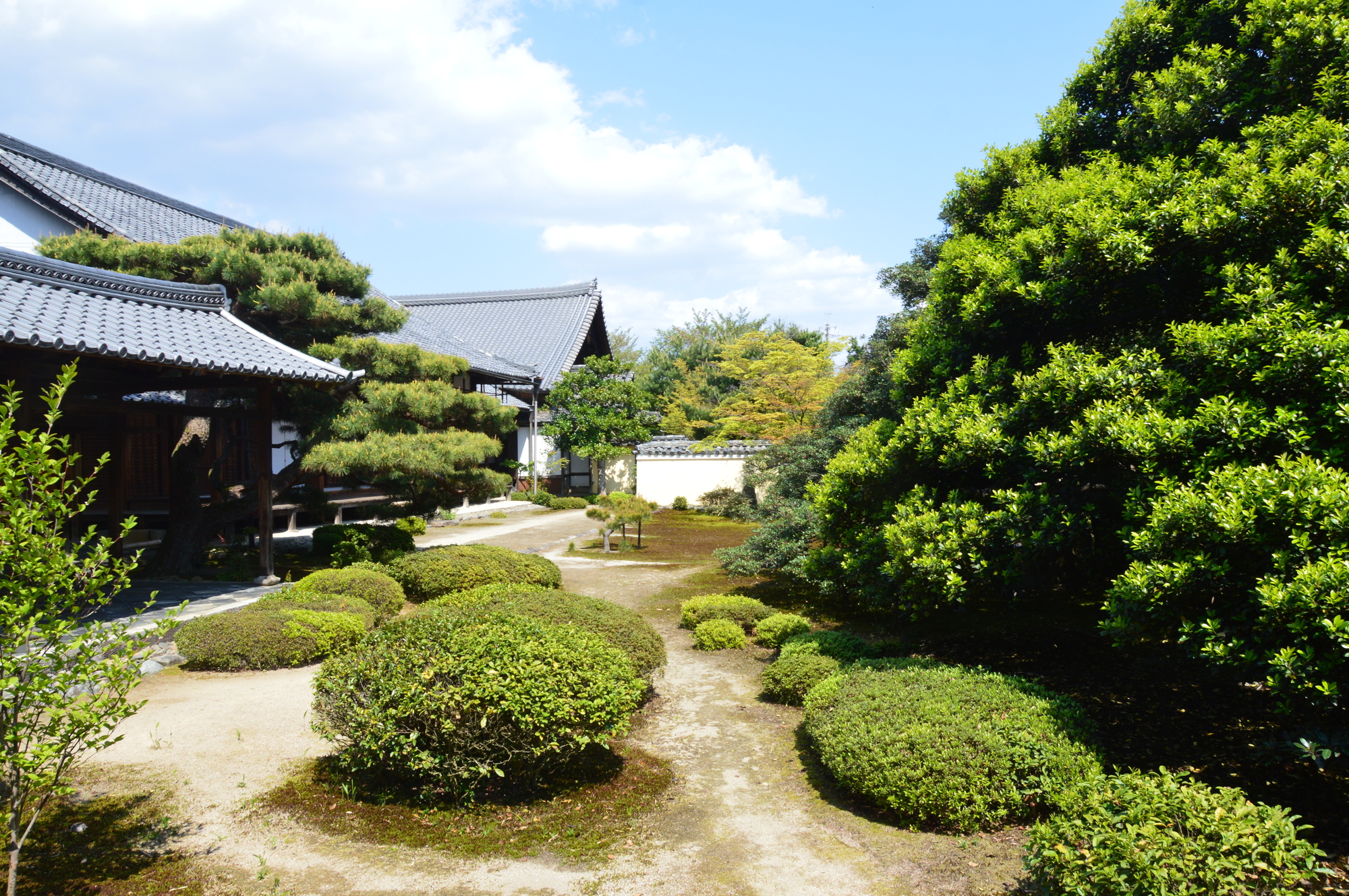 箕面市の樹木管理は三高造園にお任せください。