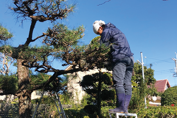 高品質な造園管理