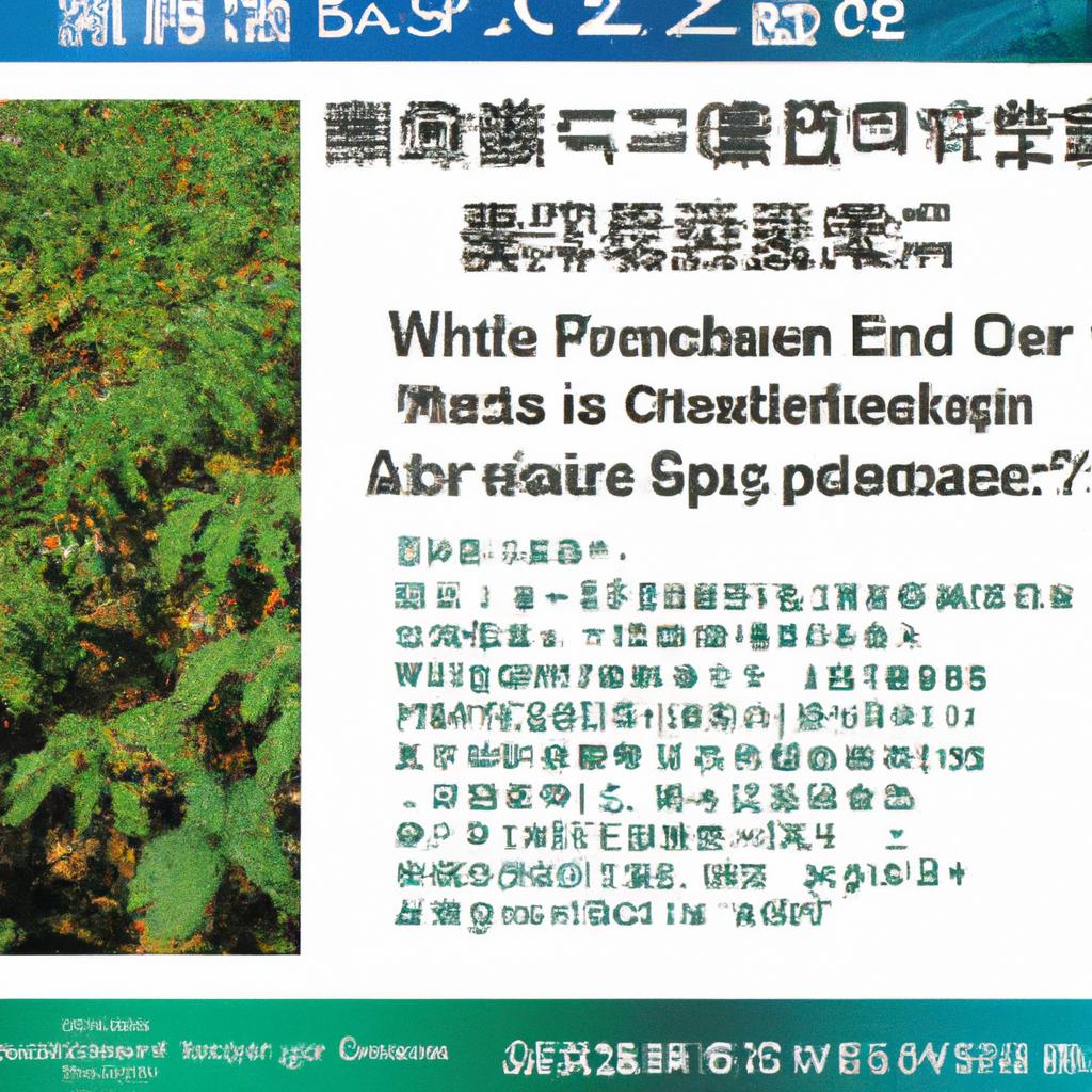 防草シート施工による雑草対策